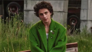 Timothée Chalamet